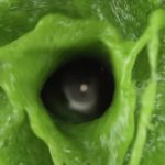 Fruit Smoothie Recipes for All Ages